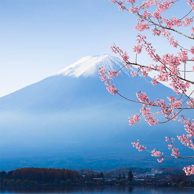 Mt Fuji with Sakura